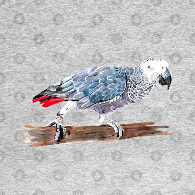 African Grey Parrot 2 by lucafon18